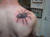 tarantula tattoo