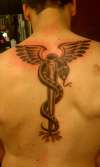 Caduceus/Asclepius tattoo