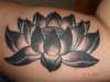 My Lotus Flower tattoo
