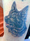 My dog Zack tattoo