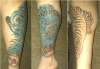 Nearly healed Tiger tattoo tattoo