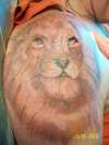 The Lion tattoo