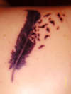 april's feather tattoo