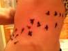 dandelion and birds pt 2 tattoo