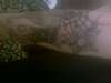 my sleeved tats tattoo