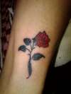 rose for Rose tattoo