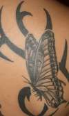 BUTTERFLY WIT TRIBAL LEFT SHOULDER tattoo