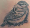 Bird tattoo