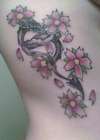 Cherry blossoms and a dragon tattoo