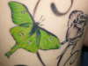 Close up of Lunar Moth tattoo