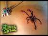 David Bolt Spider - Munch Art tattoo