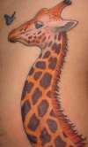 Giraffe and Butterfly tattoo