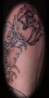 Koi forarm part 2 tattoo