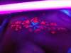 My Chest glows! tattoo