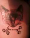 My Siamese Kitty Jazmine tattoo