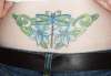 My dragon fly! tattoo