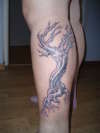 My tree tattoo