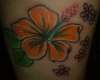 Orange Hibiscus Surf Flower tattoo