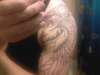 Phoenixx2 tattoo