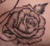 Rose Up Close tattoo