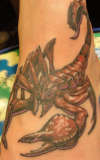 Scorpion tattoo
