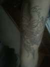 in side of right arm(bio skall) tattoo