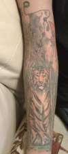 tiger tattoo