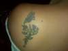 Flower and Butterfly tattoo