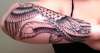 Phoenix tattoo
