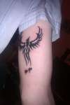 Tribal Phoenix tattoo