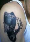 Vulture tattoo