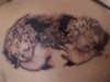 back tattoo
