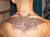 celtic tribal tattoo