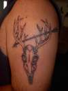 Daves Deer tattoo