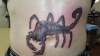 scorpion tattoo