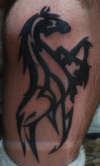 Calf tribal horse tattoo