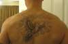 Dove back tattoo tattoo