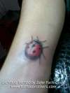 Lady bug - ugur bocegi dovmesi tattoo