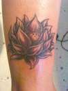 Purple Lotus tattoo