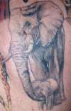 black & grey elephant tattoo
