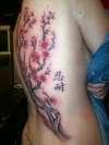 cherry blossom tree tattoo