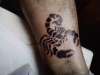 schorpioen tattoo