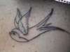 sparrow tattoo