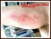 uv white ink tattoo