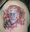 My Tiger Tattoo done last Sunday April 17th 2011 tattoo