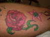 The Rose tattoo