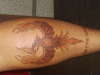 burning bird by: kapone da tattooman tattoo