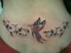 butterfly tattoo done by jan oliveros