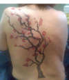 completed cherry blossoms tattoo