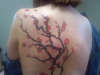 completed cherry blossoms tattoo